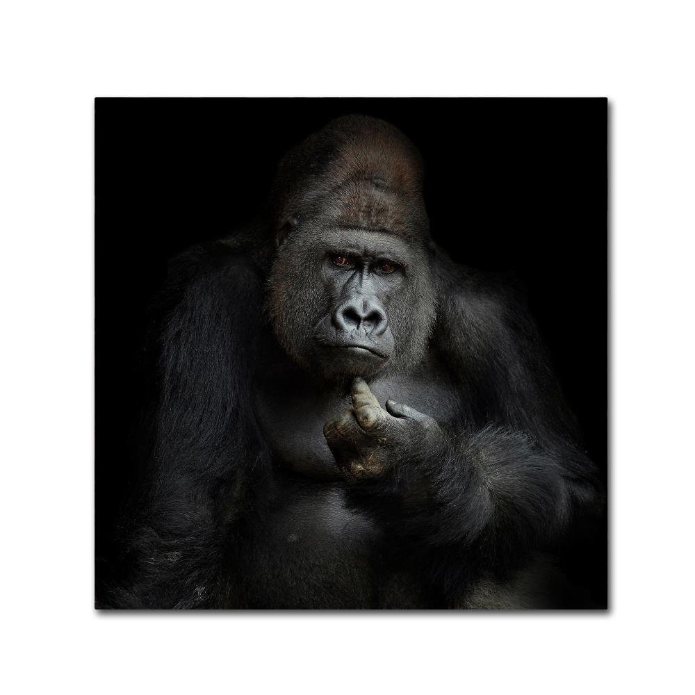 Trademark Fine Art Animals Traditional Canvas Art