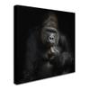 Trademark Fine Art Animals Traditional Canvas Art view 2