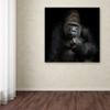 Trademark Fine Art Animals Traditional Canvas Art view 3