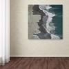 Trademark Fine Art Landscape Beachy Canvas Art view 3
