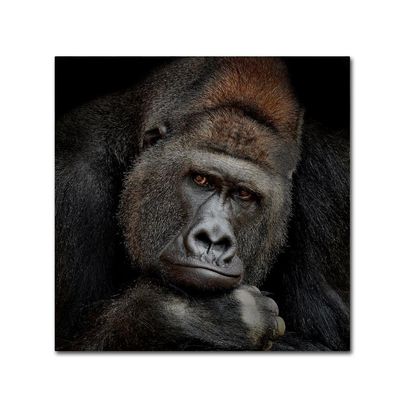 Trademark Fine Art Animals Traditional Canvas Art