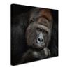 Trademark Fine Art Animals Traditional Canvas Art view 2