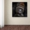 Trademark Fine Art Animals Traditional Canvas Art view 3