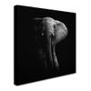Trademark Fine Art Animals Modern & Contemporary Canvas Art view 2