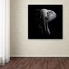 Trademark Fine Art Animals Modern & Contemporary Canvas Art view 3