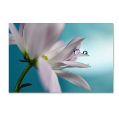 Trademark Fine Art Floral Eclectic Canvas Art, 30x47