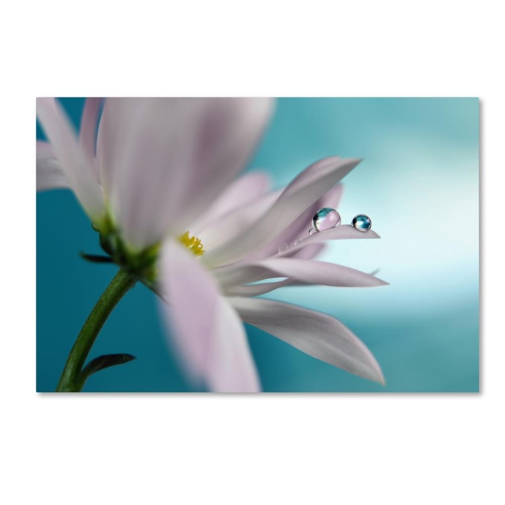 Trademark Fine Art Floral Eclectic Canvas Art, 30x47