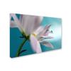 Trademark Fine Art Floral Eclectic Canvas Art, 30x47 view 2