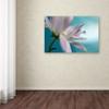 Trademark Fine Art Floral Eclectic Canvas Art, 30x47 view 3