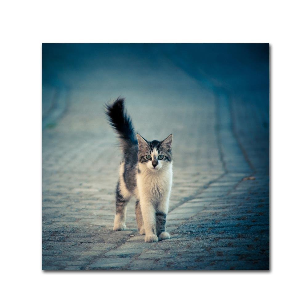 Trademark Fine Art Animals Eclectic Canvas Art