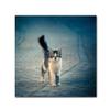 Trademark Fine Art Animals Eclectic Canvas Art view 1