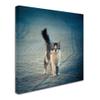 Trademark Fine Art Animals Eclectic Canvas Art view 2