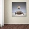 Trademark Fine Art Still Life Modern & Contemporary Canvas Art view 3