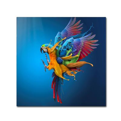 Trademark Fine Art Bold & Eclectic Modern Canvas Art