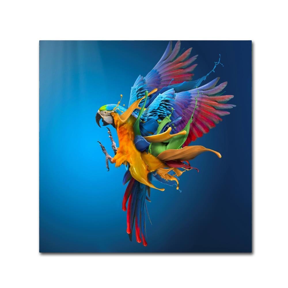Trademark Fine Art Bold & Eclectic Modern Canvas Art