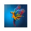 Trademark Fine Art Bold & Eclectic Modern Canvas Art view 1