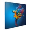 Trademark Fine Art Bold & Eclectic Modern Canvas Art view 2