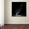 Trademark Fine Art Modern & Contemporary Canvas Art view 3