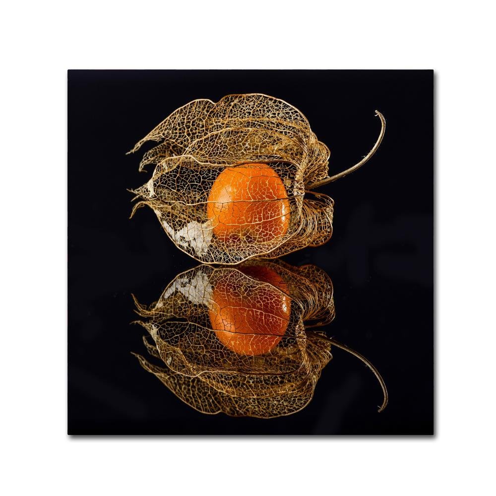 Trademark Fine Art Eclectic Canvas Art