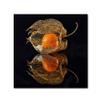 Trademark Fine Art Eclectic Canvas Art view 1