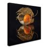 Trademark Fine Art Eclectic Canvas Art view 2