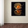 Trademark Fine Art Eclectic Canvas Art view 3