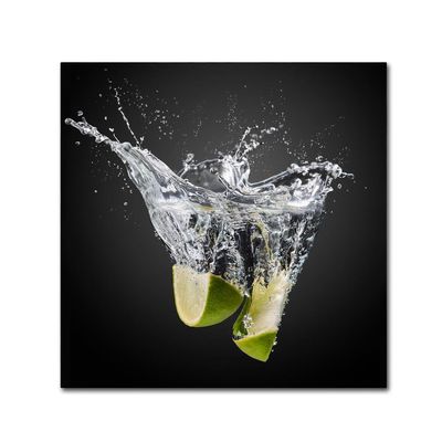 Trademark Fine Art Traditional Canvas Art