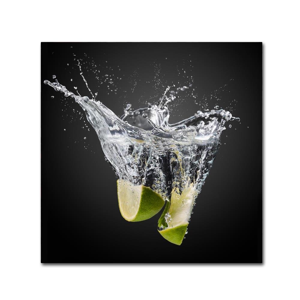 Trademark Fine Art Traditional Canvas Art