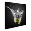 Trademark Fine Art Traditional Canvas Art view 2