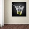 Trademark Fine Art Traditional Canvas Art view 3