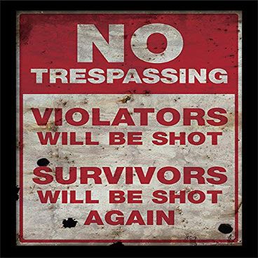 Pyramid International No Trespassing Memorabilia, 30 x 40 cm, Multi-Colour
