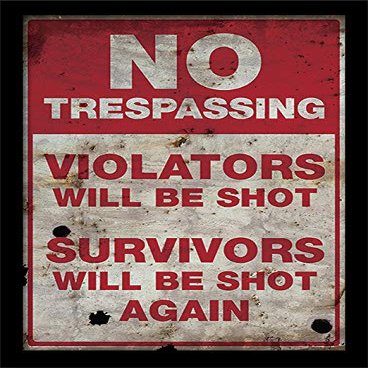 Pyramid International No Trespassing Memorabilia, 30 x 40 cm, Multi-Colour