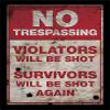 Pyramid International No Trespassing Memorabilia, 30 x 40 cm, Multi-Colour view 1