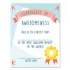 Certificate of Awesomeness 05x07 Inch Print, Best Patient Certificate, Award Certificate, Children Certificate, Personalized Certificate,Certificate Template view 1