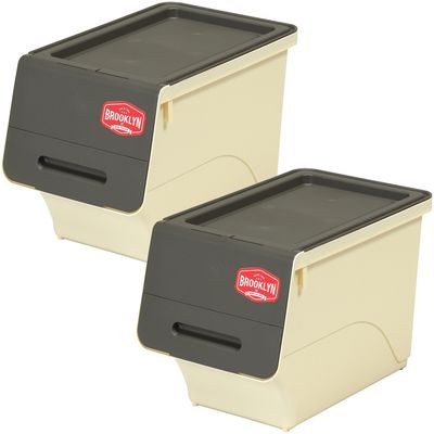 SANKA Brooklyn ST Series BKFS-S30GY/IV-2+K Storage Chest, Flap Storage, Width 11.4 inches (29 cm), Slim, Set of 2, Gray/Ivory