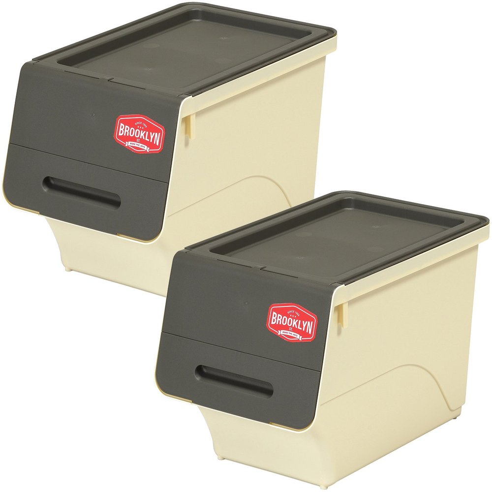 SANKA Brooklyn ST Series BKFS-S30GY/IV-2+K Storage Chest, Flap Storage, Width 11.4 inches (29 cm), Slim, Set of 2, Gray/Ivory