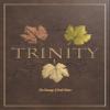 Trinity Self Adhesive Wine Labels 30 Count view 2