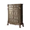 Acme Dresden 5-Drawer Wooden Chest in Gold Patina and Brown view 1