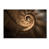 Trademark Fine Art Infinito Gaudi Wall Decor view 1