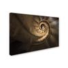 Trademark Fine Art Infinito Gaudi Wall Decor view 2