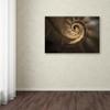 Trademark Fine Art Infinito Gaudi Wall Decor view 3