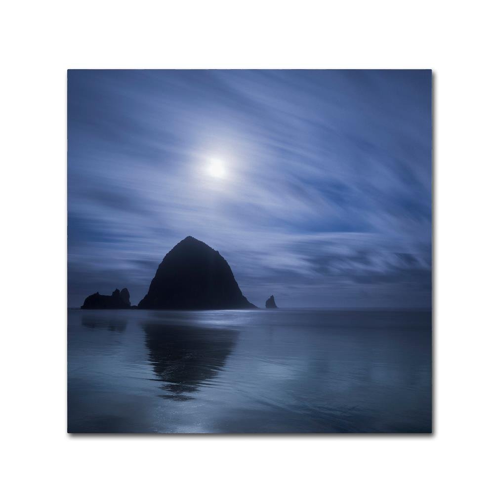 Trademark Fine Art Moon Over Canon Beach Wall Decor