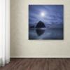 Trademark Fine Art Moon Over Canon Beach Wall Decor view 3
