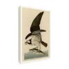 Wrapped Canvas Wall Art - Audubon 'Fish Hawk Or Osprey Plate 81' Wall Art for Living Room, Bedroom, or Office Dcor - 16x24 view 1