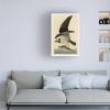 Wrapped Canvas Wall Art - Audubon 'Fish Hawk Or Osprey Plate 81' Wall Art for Living Room, Bedroom, or Office Dcor - 16x24 view 3