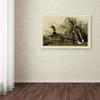 Canvas Wall Art - Audubon 'Mallard Duckplate 221' Wall Art for Living Room, Bedroom, or Office Dcor by Trademark Fine Art view 2