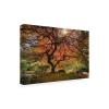 Wrapped Canvas Wall Art - Moises Levy 'The Tree Horizontal' Wall Art for Living Room, Bedroom, or Office Dcor - 16x24 view 1