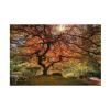 Wrapped Canvas Wall Art - Moises Levy 'The Tree Horizontal' Wall Art for Living Room, Bedroom, or Office Dcor - 16x24 view 2