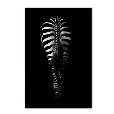Trademark Fine Art Zebra Rear by Antonio Grambone, 16x24-Inch