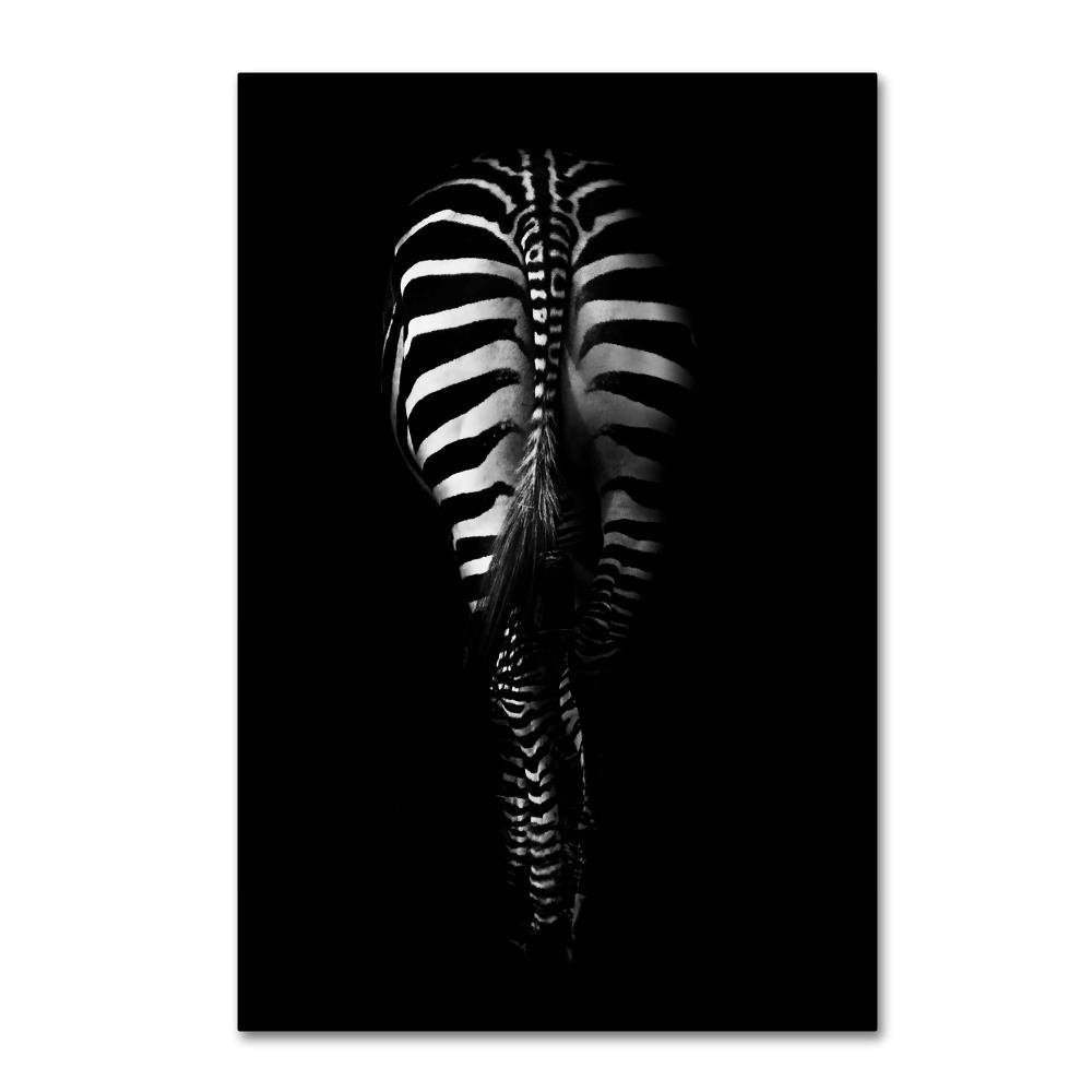 Trademark Fine Art Zebra Rear by Antonio Grambone, 16x24-Inch